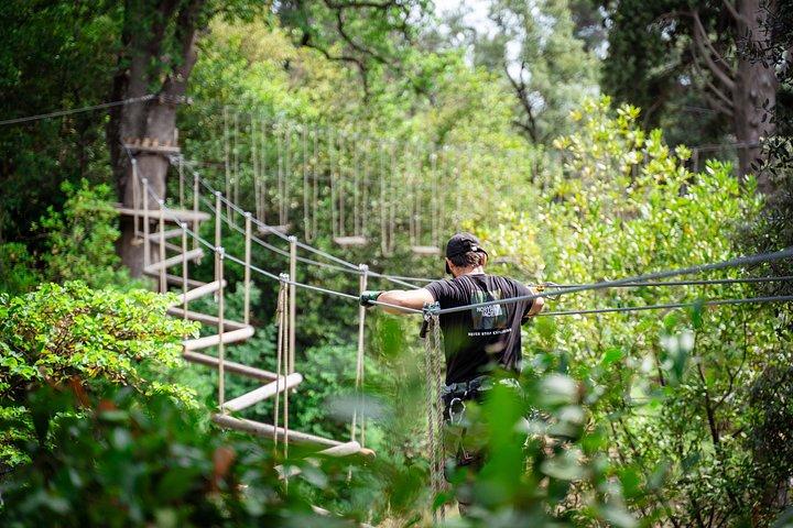 Marseille Parc accrobranche Ecopark Adventure