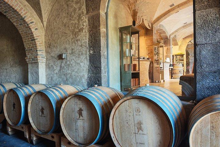 Expérience privée de dégustation de vin au Château Saint Julien d’Aille
