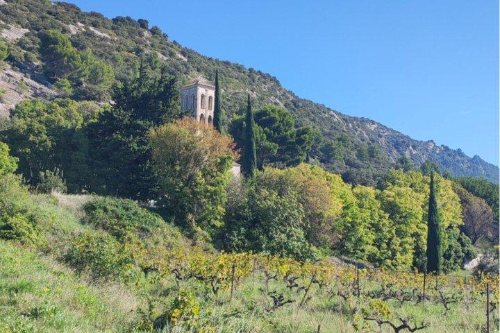 Promenade Guidée en petit groupe dans le Vaucluse