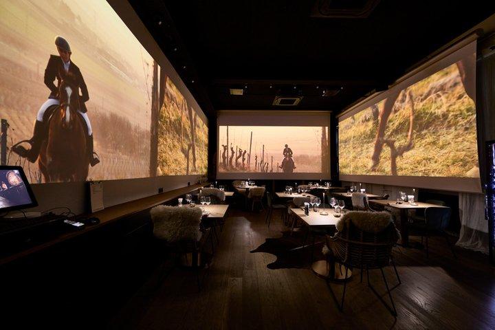Visite de cave-dégustation et repas alsacien-100% immersive