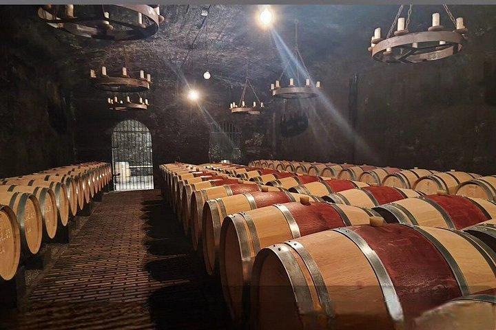 Tour privé demi journée Châteauneuf du Pape depuis Avignon