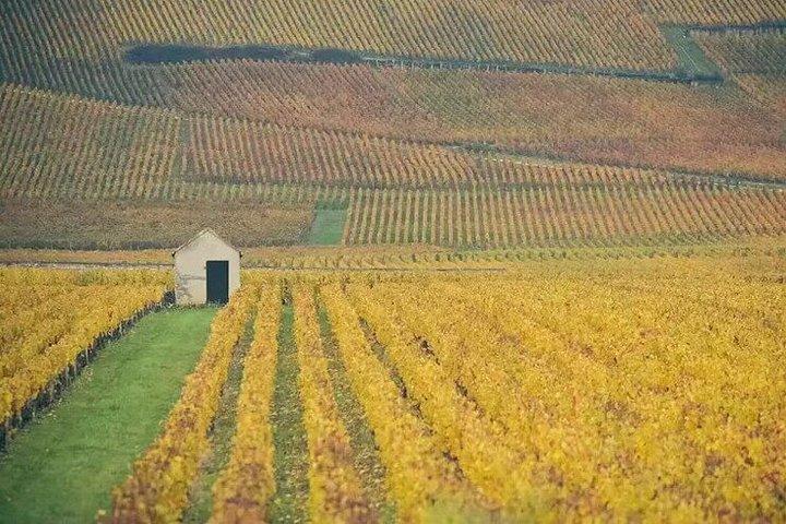 Visite de Paris Côte de Nuits Bourgogne avec dégustation de vins de Cave
