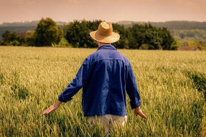 Visite immersive Van Gogh unique à Auvers sur Oise - 1,5 heure