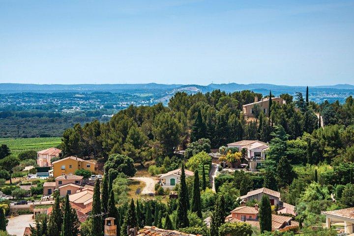 Visite privée à terre : Avignon & Châteauneuf-du-Pape au départ de Marseille
