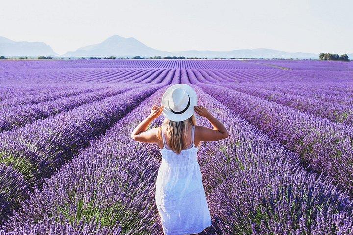Visite privée : Provence Lavande & Saveurs locales au départ de Marseille