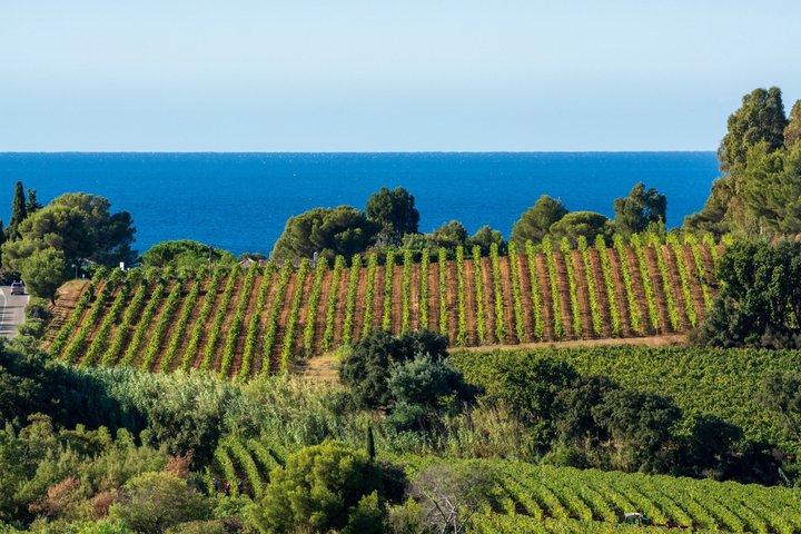 Visite privée : Provence Dégustation de vin & Village pittoresque