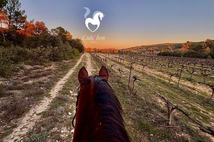 Balades Équestres en Provence