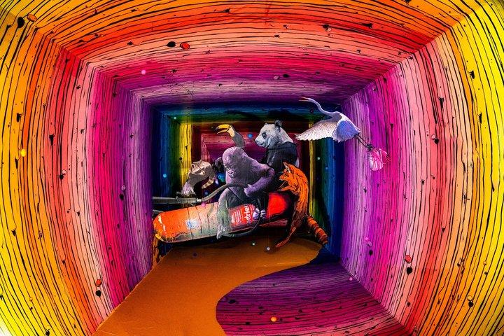 Visite du Zoo Art Show