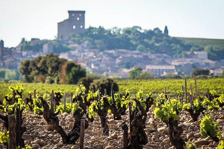 Chateauneuf-du-Pape wine tasting, Avignon & Saint Remy Provence