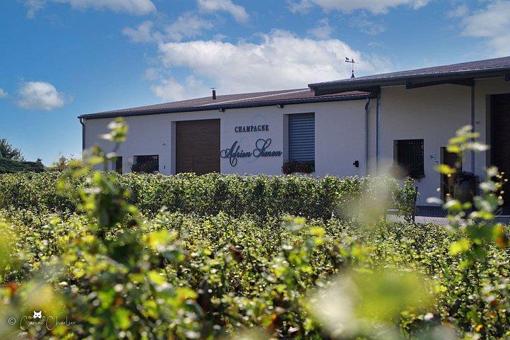 Visite d’un domaine familial de Champagne près de Reims