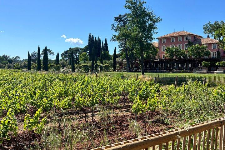 Excursion privée de luxe sur la côte des vins au départ de Saint-Tropez Port