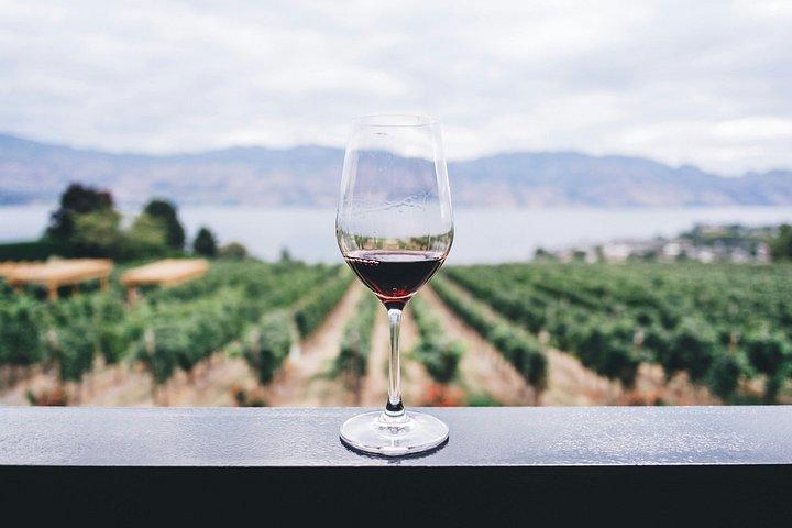 Vins de soleil et rose d'or Voyage privé de luxe au départ de Cannes