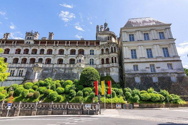 De Paris Vallée de la Loire Visite d'une demi-journée du château et du vin