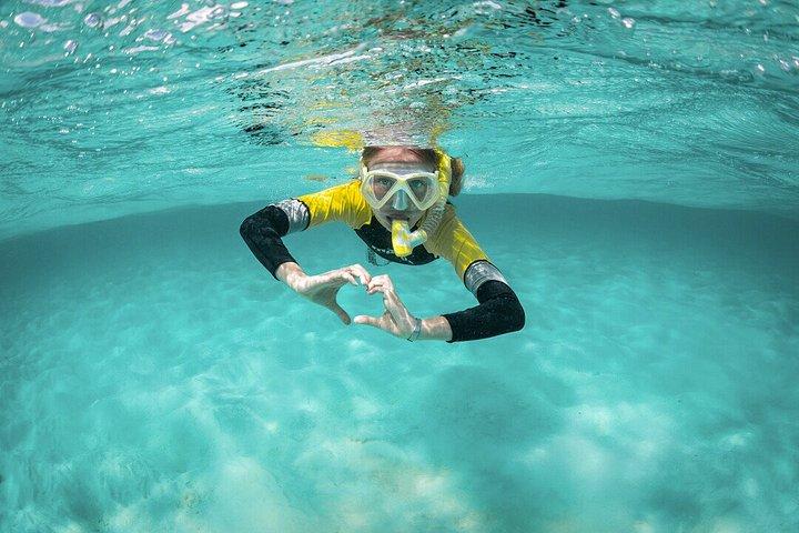 Excursion en bateau et snorkeling à Villefranche - sur - Mer