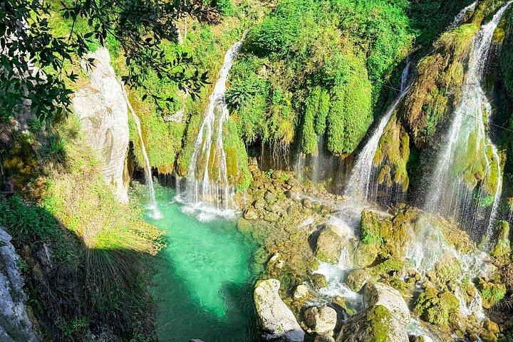 Découvrez nos champs et notre visite partagée d'une journée au lac au départ de Nice