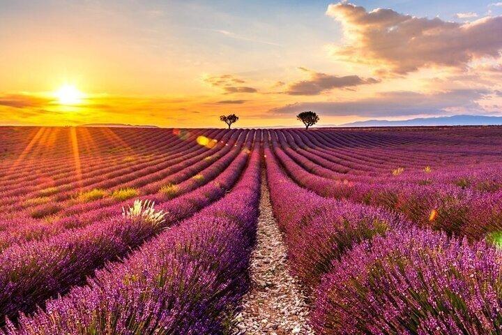 tour des lavandes de Valensole et Moustiers Sainte Marie