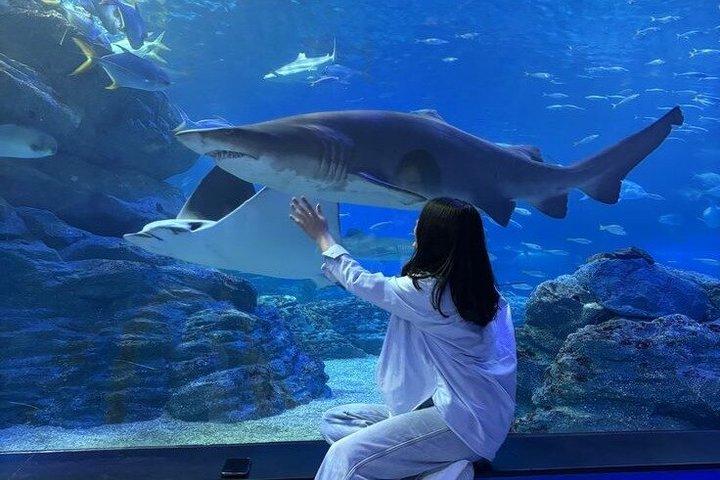 Billet d'entrée Aquarium de Paris