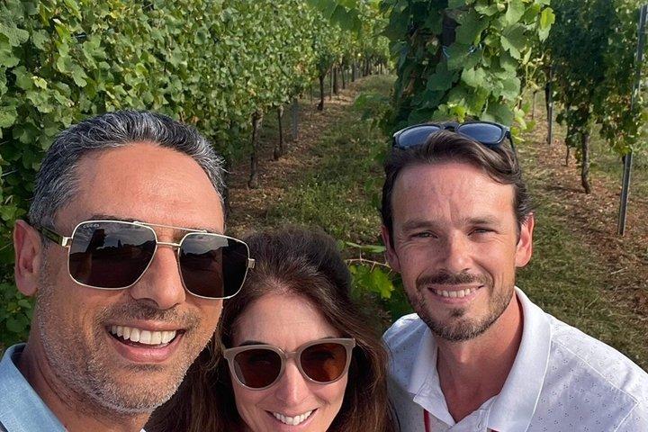 Visite guidée de la Route des vins d'Alsace au départ de Strasbourg