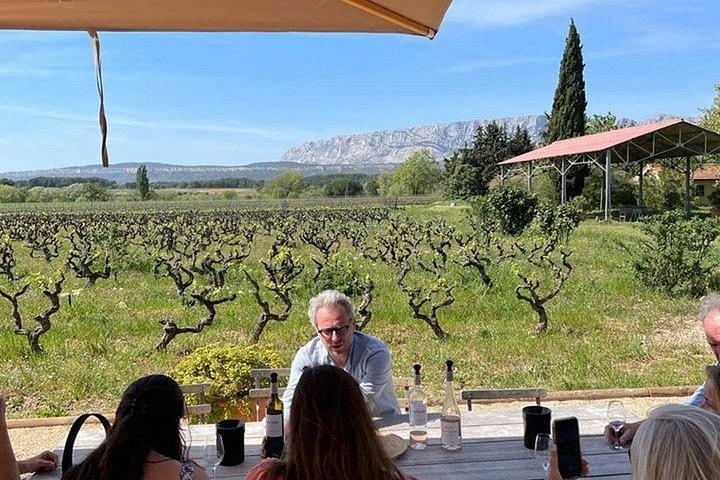 Visite œnologique d'une demi-journée en petit groupe en Provence au départ d'Aix
