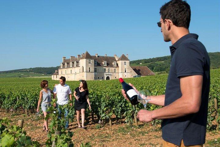 Circuit œnologique à Dijon : les vignobles de la Côte de Nuits et de la Côte de Beaune