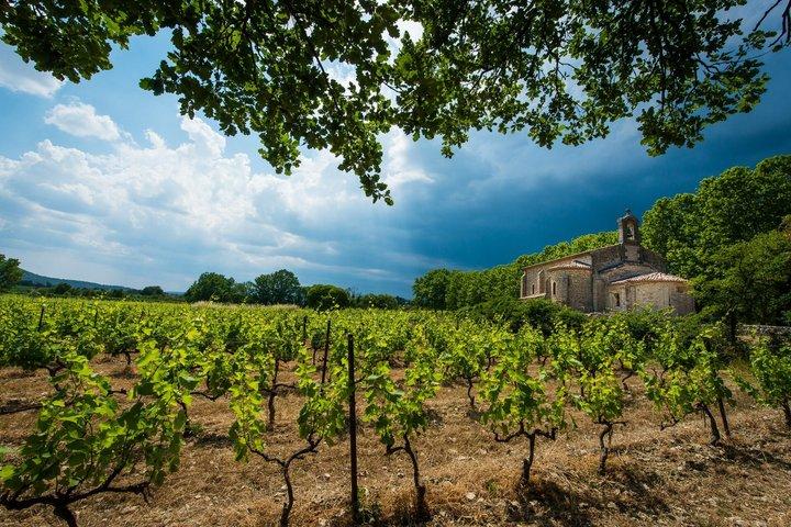 Explorez Gaillac Wines Excursion privée d'une demi-journée au départ de Toulouse
