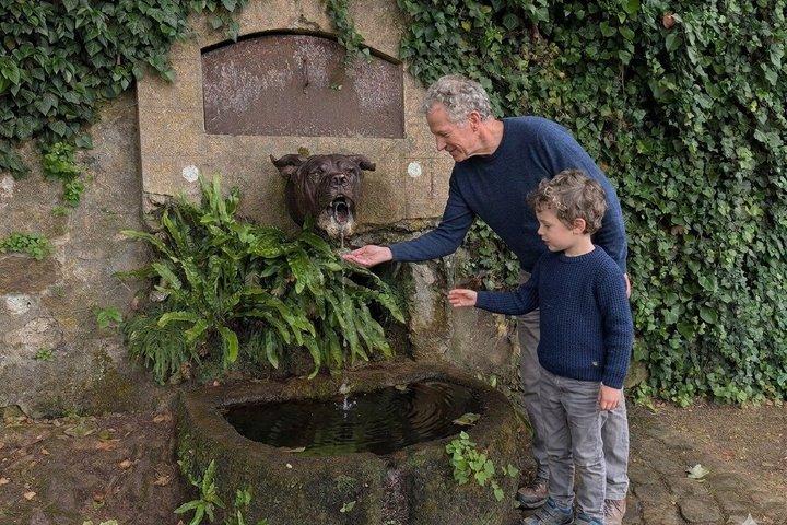 Visite guidée privée du champ de bataille du bois Belleau