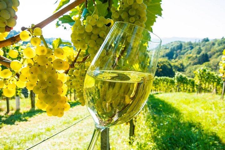 Visite privée des vins de Nice à Antibes St Paul de Vence