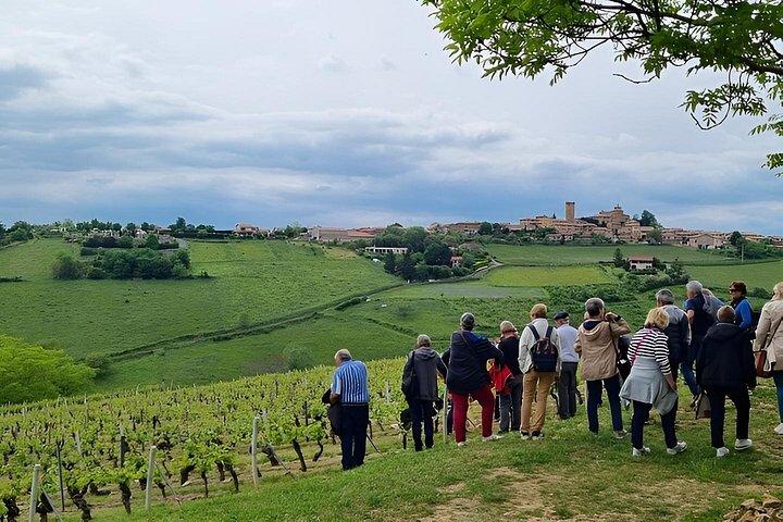 Beaujolais Pierres Dorées