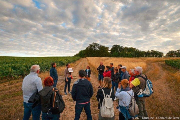 Excursion à la découverte d'un vignoble, d'un domaine vinicole et d'une cave avec dégustation de vins à Vouvray dans la vallée de la Loire