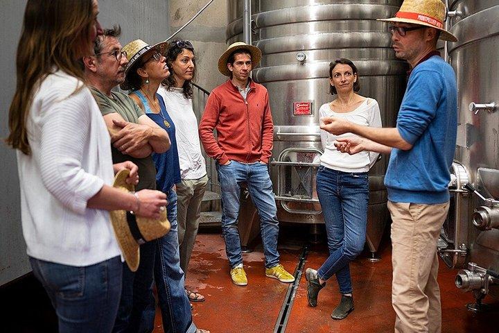 Excursion privée d'une demi-journée en Languedoc au départ du Cap d'Agde