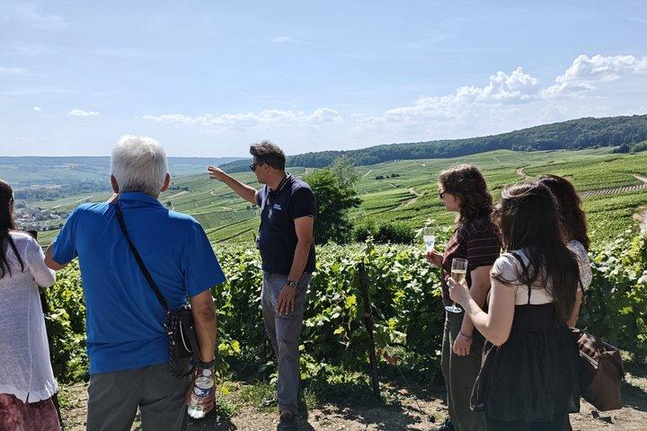 Excursion d'une journée en Champagne au départ de Paris avec 7 dégustations Maisons de prestige