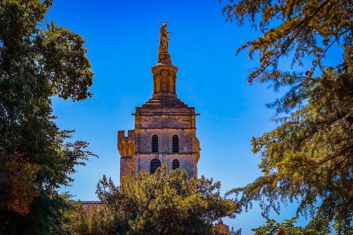 Visite privée Avignon Châteauneuf-du-Pape Palais des Papes & Wine