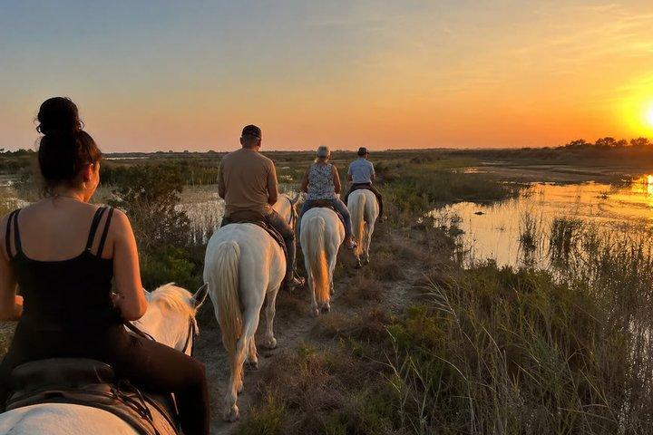 Aventure d'équitation en Camargue dans la réserve naturelle