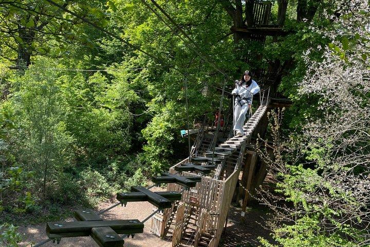 AccroCamp Saint-Germain-en-Laye - Parcours Accrobranche