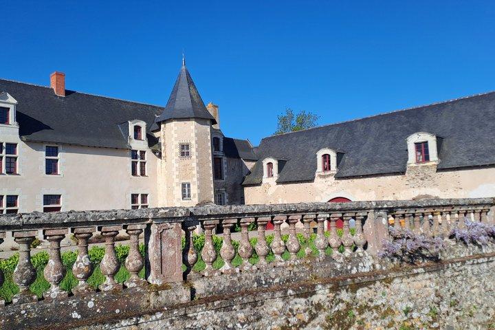 Découverte des vins d'Anjou - en aprés-midi