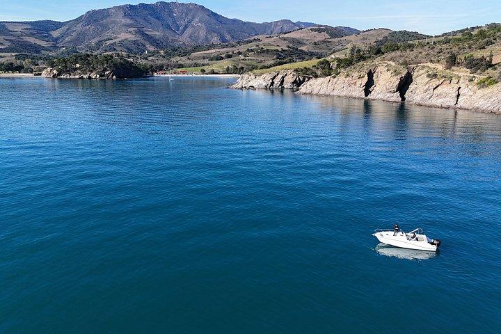 Excursion privée en mer d’une demi-journée ou d’une journée