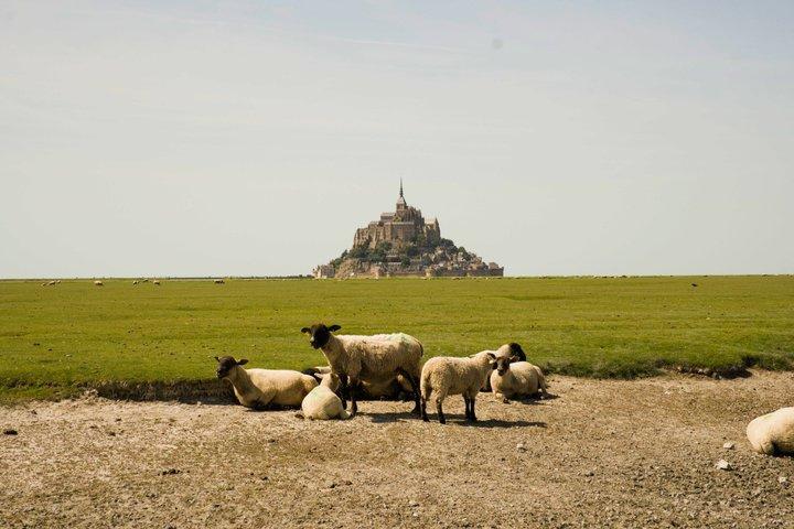 Visite privée de Paris, Étretat et Mont Saint-Michel