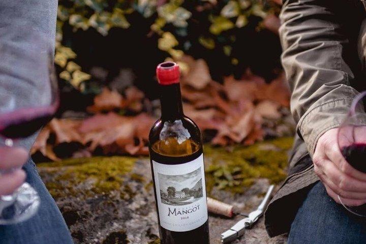 Visite Epicurienne, Château Mangot Saint-Emilion Grand Cru Classé