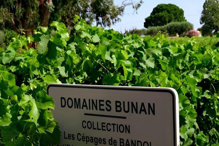 Dégustation de vins et visite libre des vignes au Domaine Bunan
