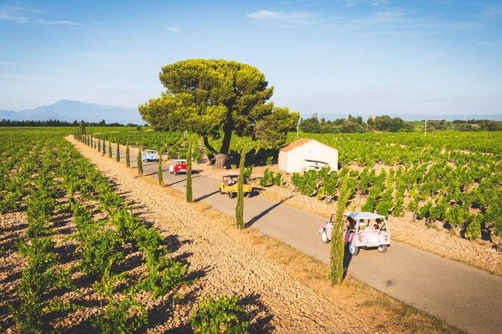 Châteauneuf du Pape et Gigondas Journée Vins Privée en Méhari