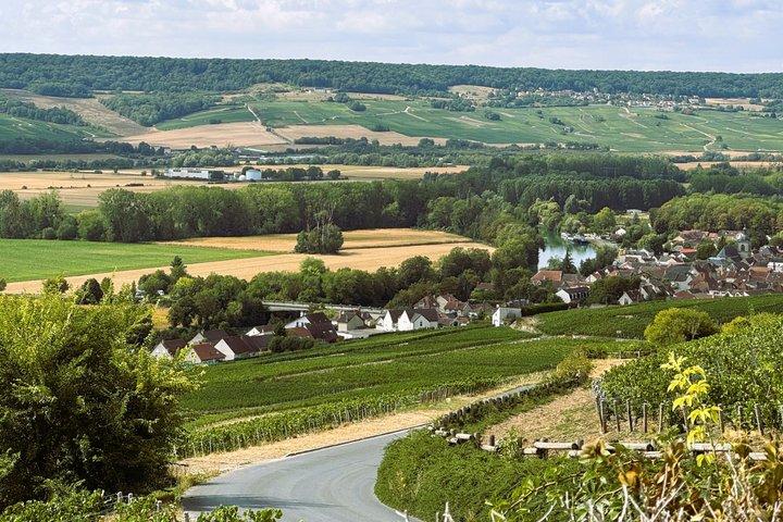 Tour en petit groupe de Champagne 2 vignobles Épernay et Hautvillers
