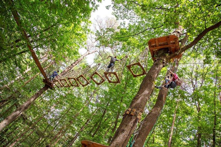 Journée Accrobranche et Escalade en forêt près de Paris