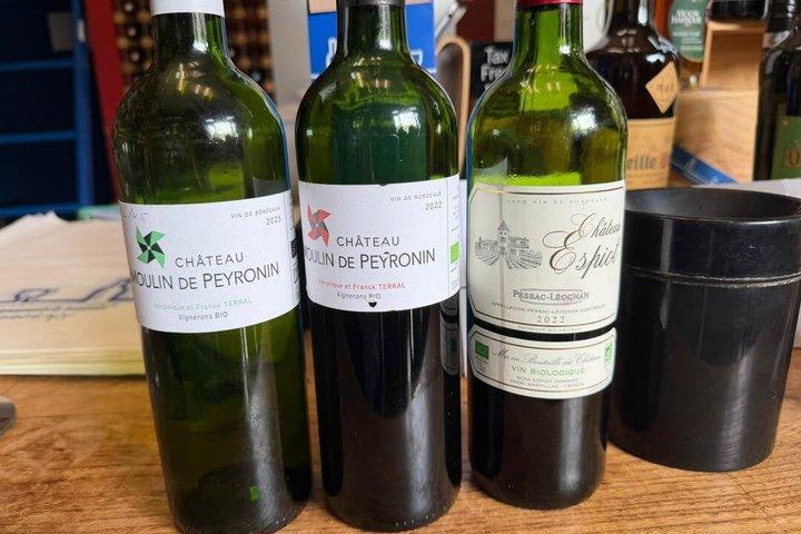 Visite privée de Bordeaux