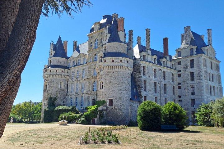 Decouverte des vins d'Anjou et visite de Château