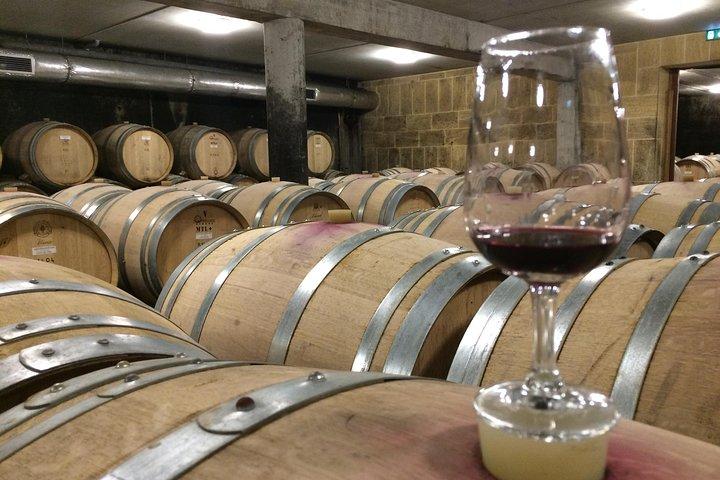 Excursion œnologique Côtes du Rhône – Journée complète – Au départ de Lyon en excursions en petit groupe