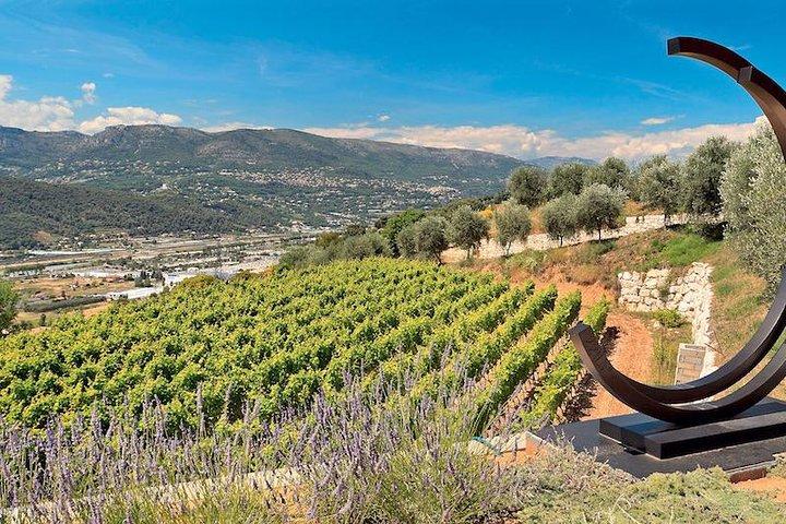 Visite semi-privée de dégustation de vins et de produits biologiques (au départ de Nice)