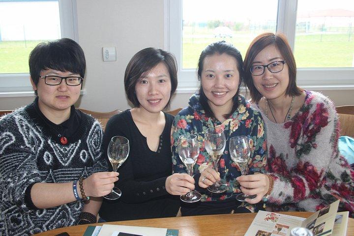 Visites d'une journée au champagne