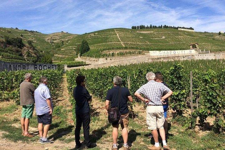 Côtes du Rhône Wine Tour - Visite privée - Journée complète au départ de Lyon