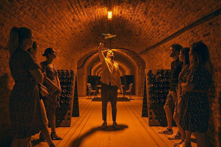Cours de dégustation de champagne et déjeuner près d'Épernay