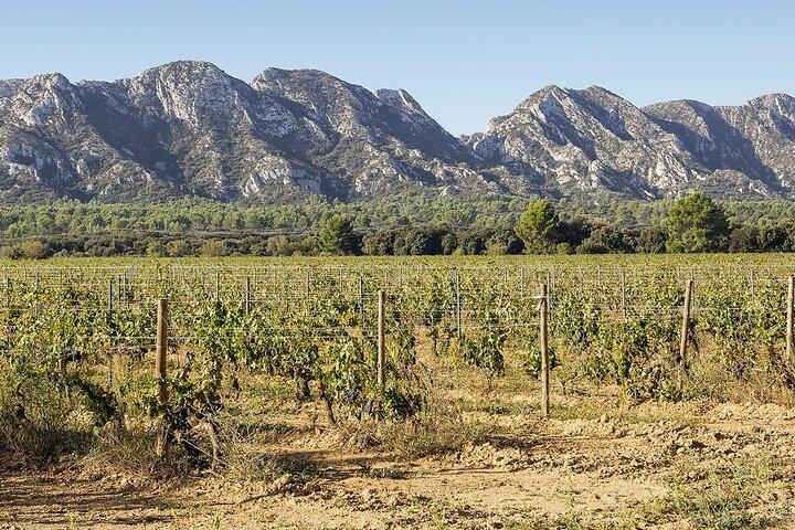 Les Baux de Provence : Journée du vin Tour : 7 heures